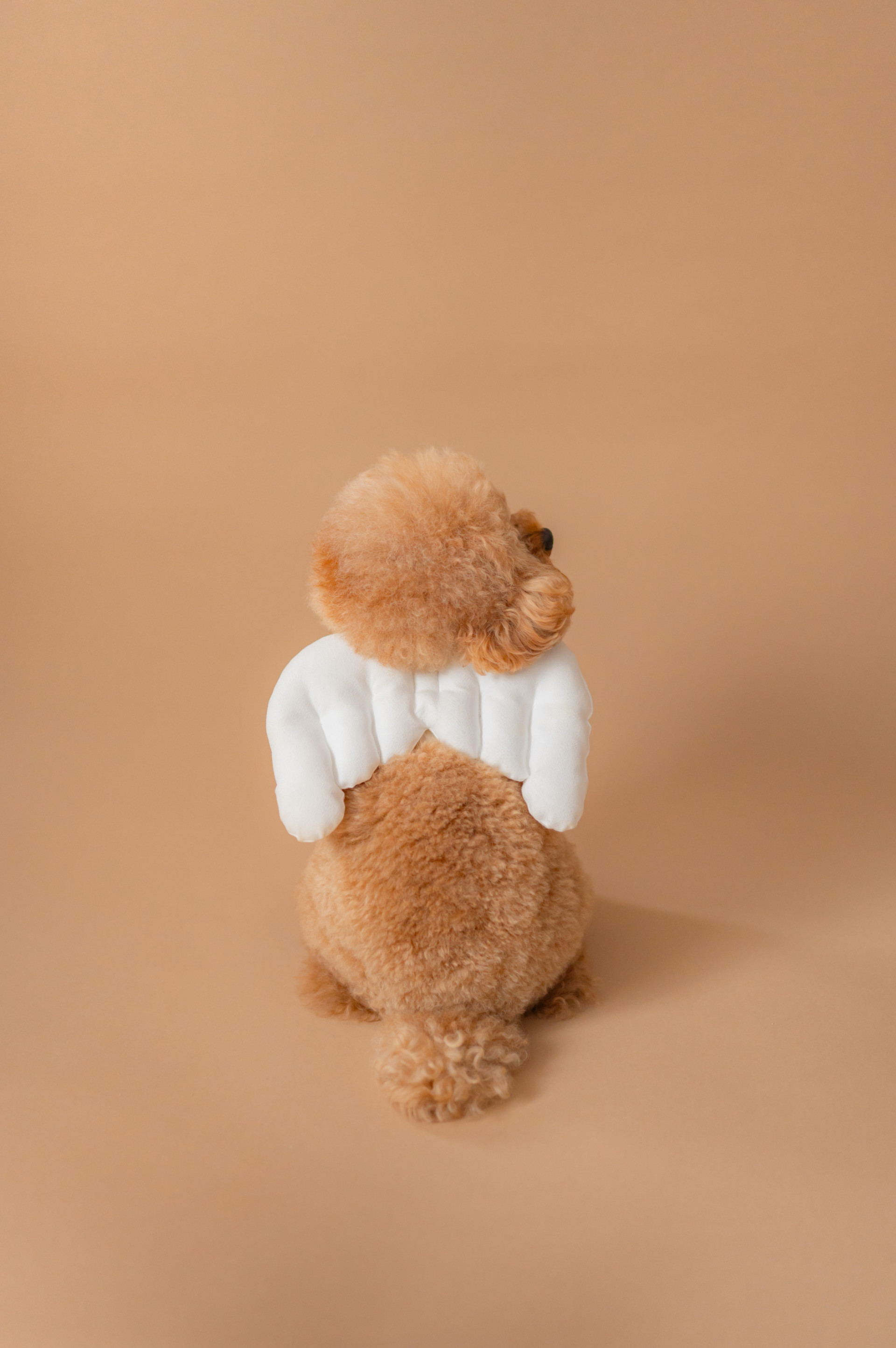 Marshmallow styling/photoのメイン画像
