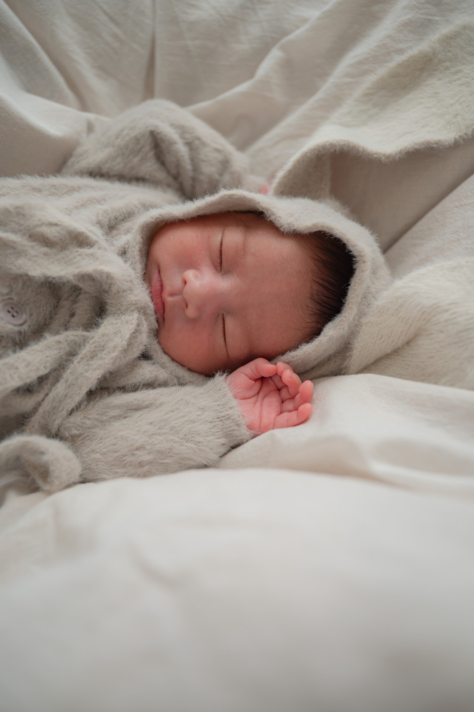 Marshmallow styling/photoの画像