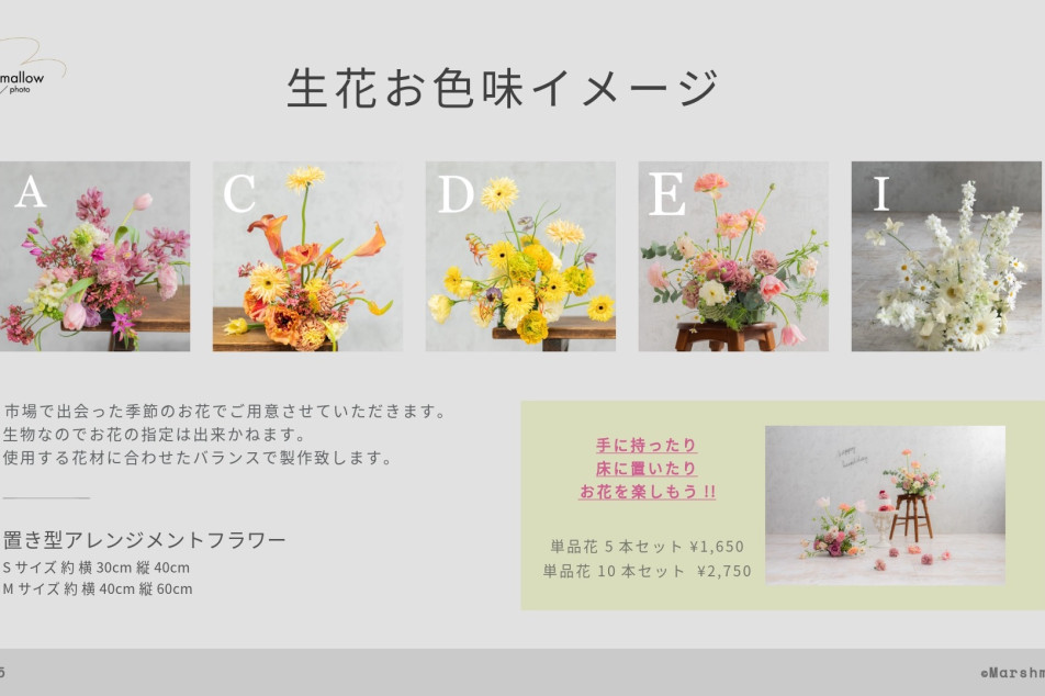 Marshmallow styling/photoの画像