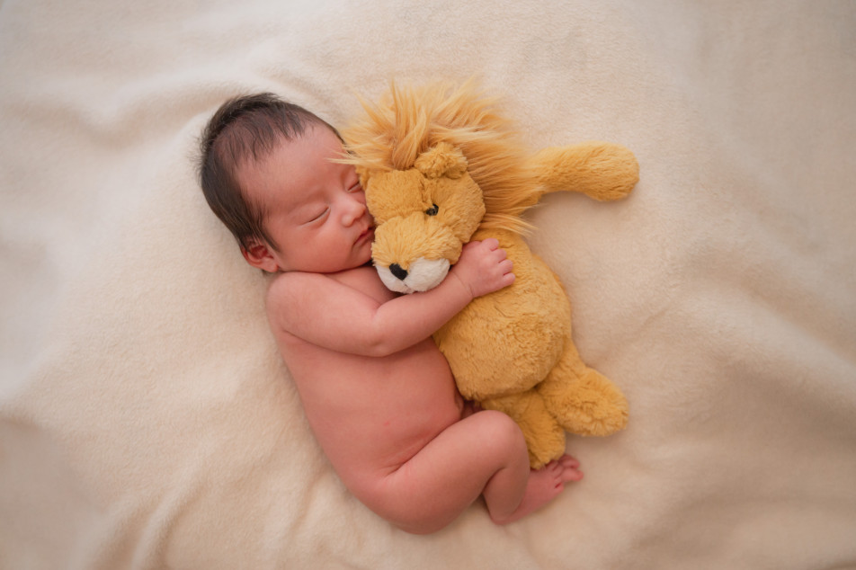 Marshmallow styling/photoの画像