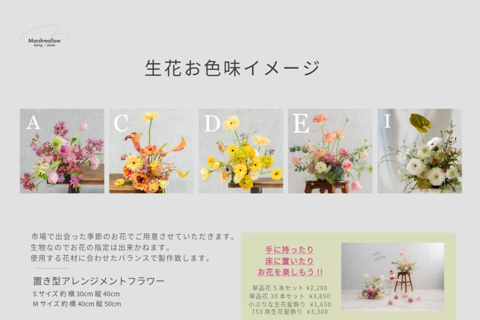 Marshmallow styling/photoの画像