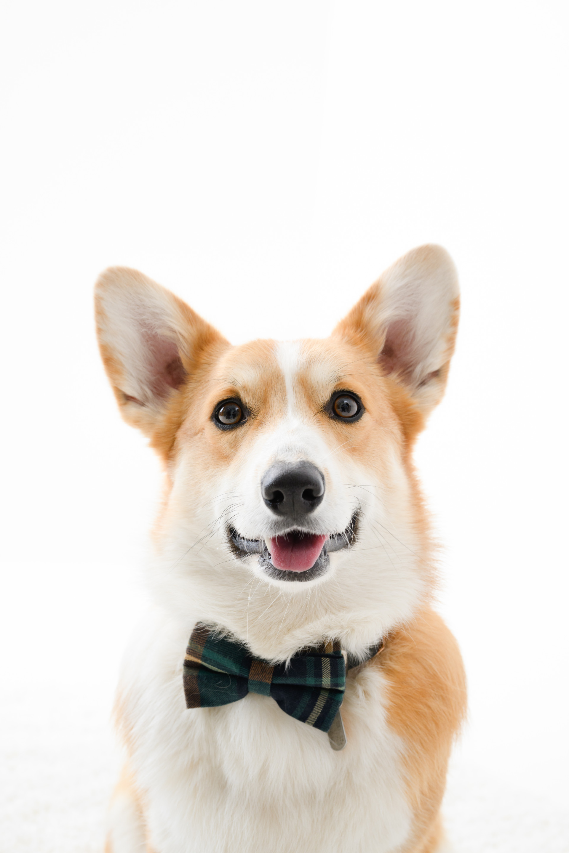 Photo Studio CONTORNOのメイン画像