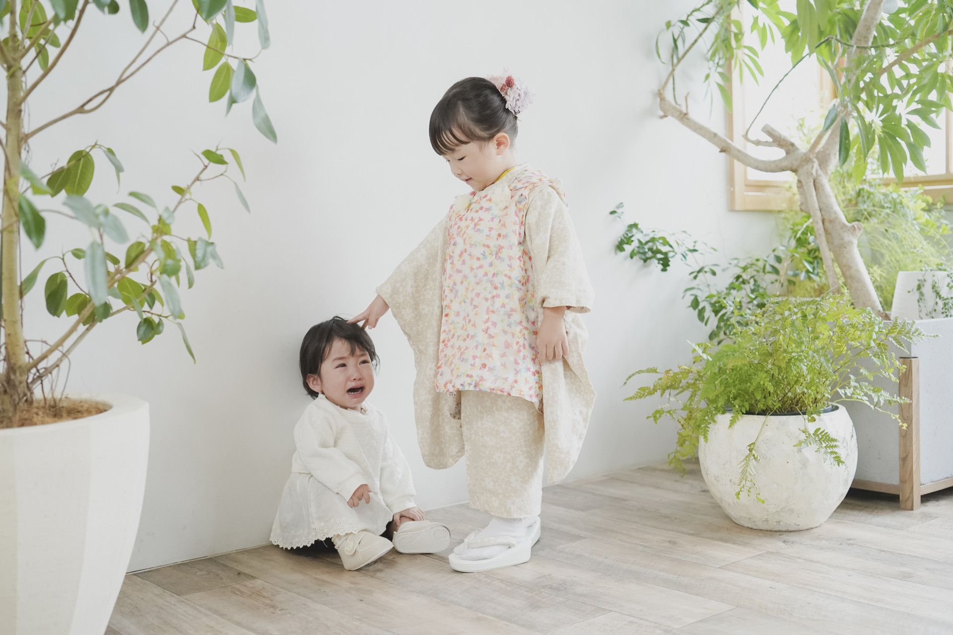 photostudio cottonのメイン画像