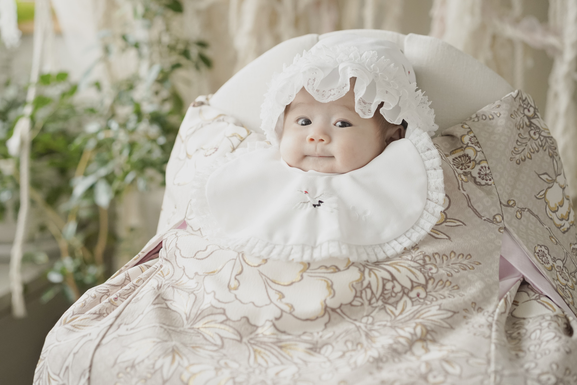 photostudio cottonのメイン画像