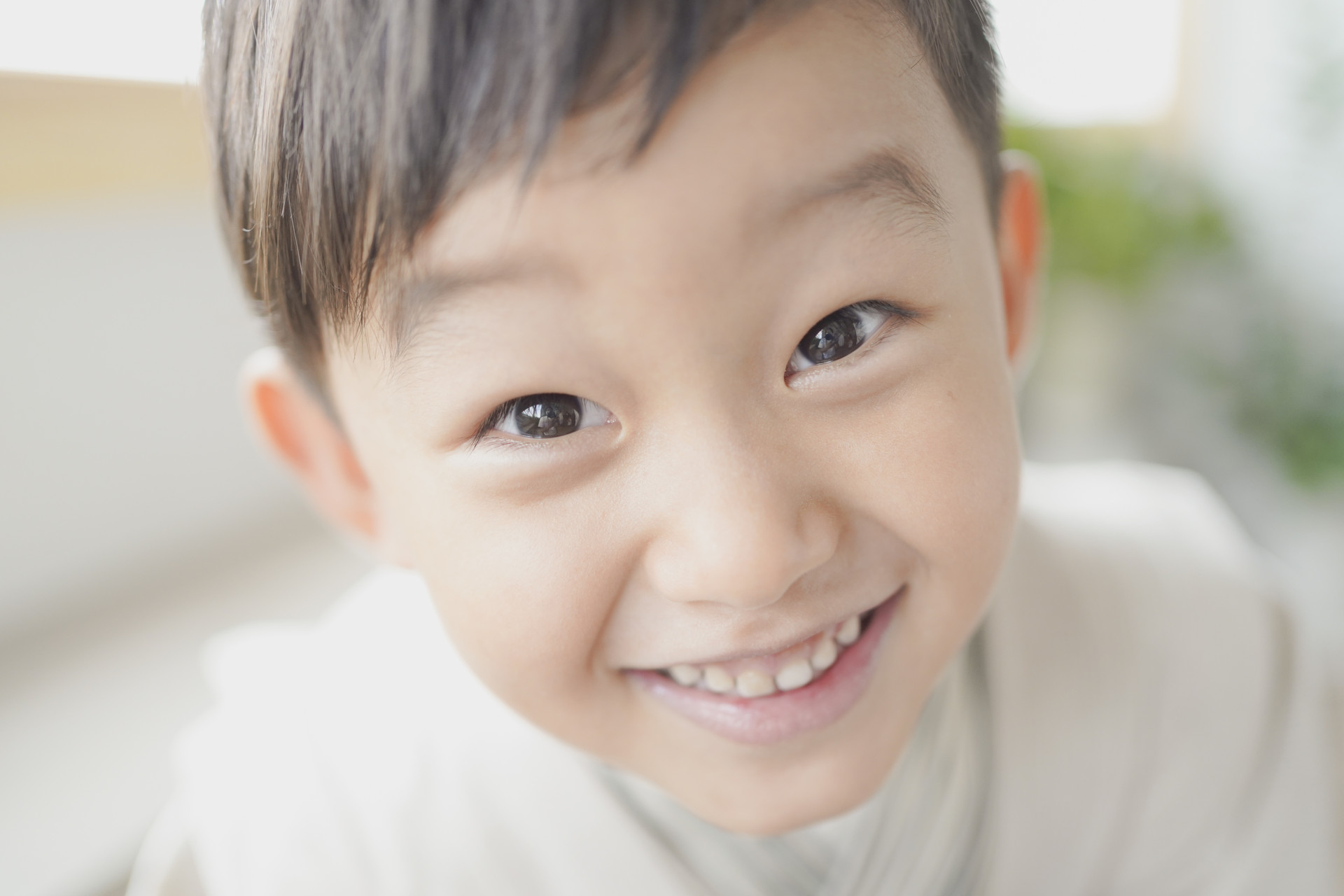 photostudio cottonのメイン画像