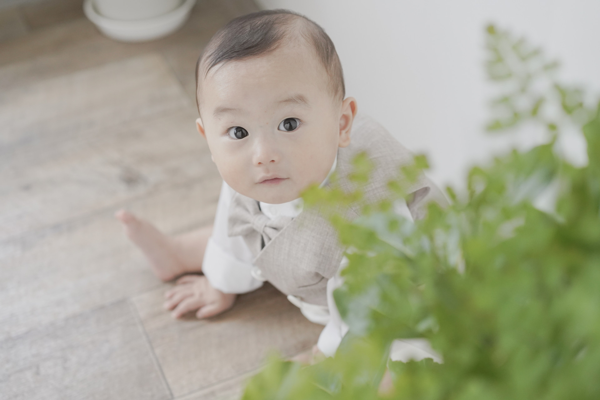 photostudio cottonのメイン画像