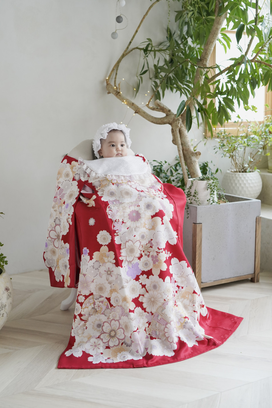 photostudio cottonの画像