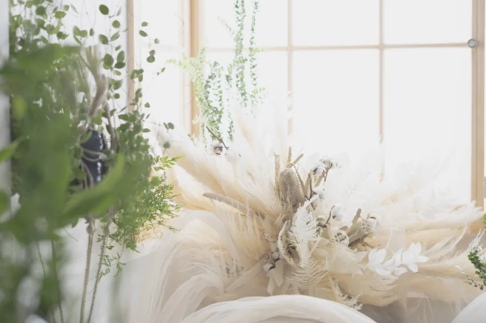 photostudio cottonの画像