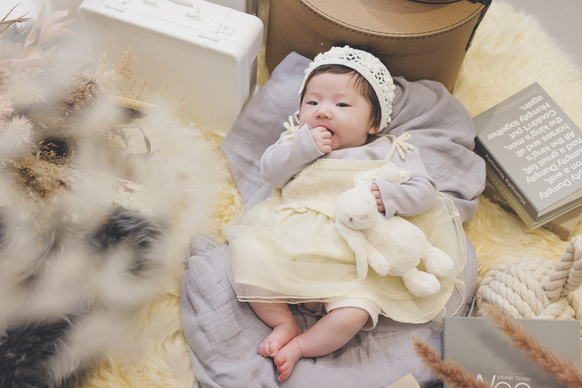 Sereno la vita - セレーノスタジオのメイン画像