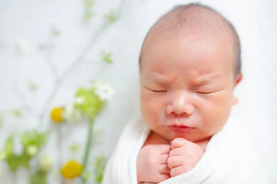 fete￤baby photo studioの画像