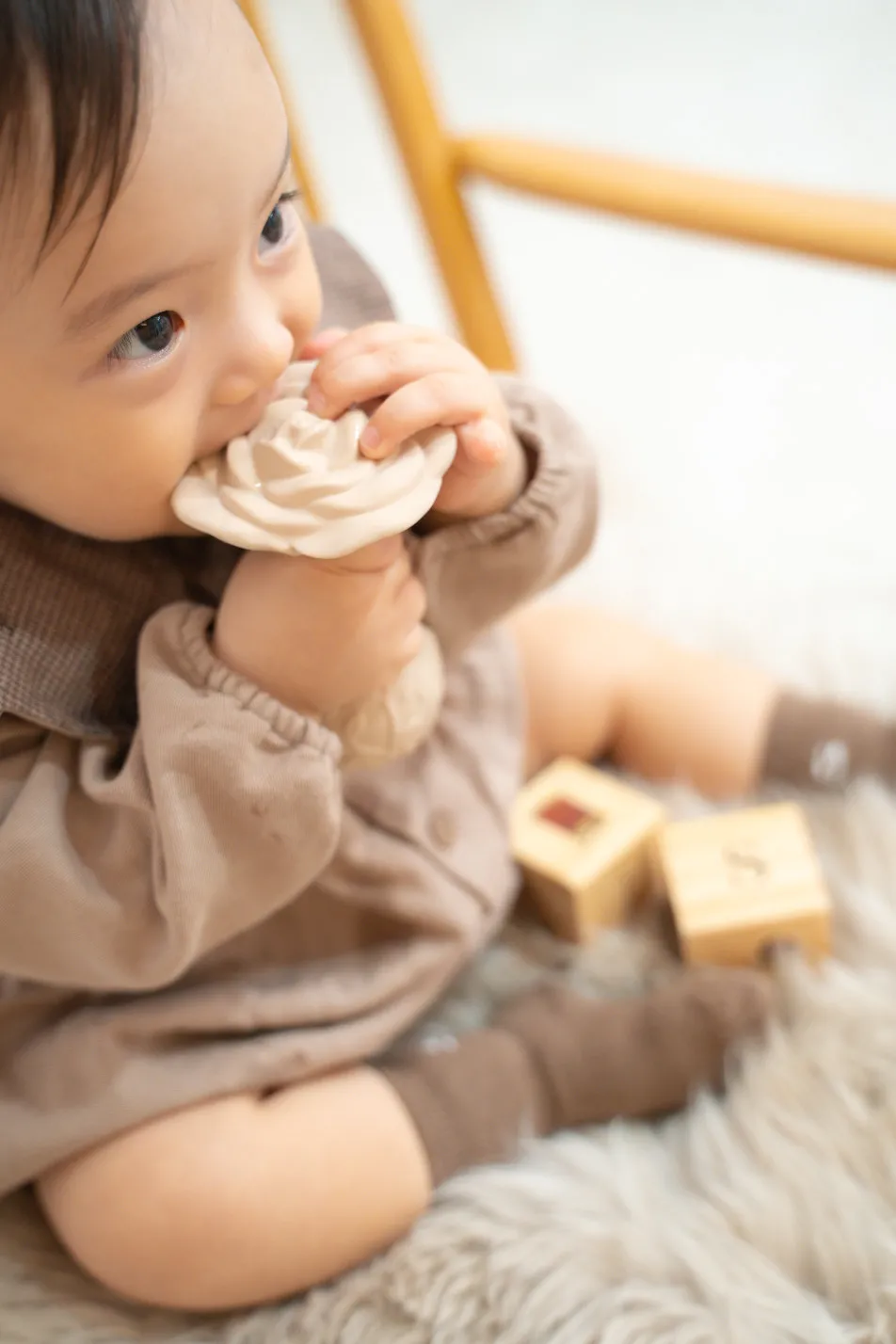 fete￤baby photo studioの画像
