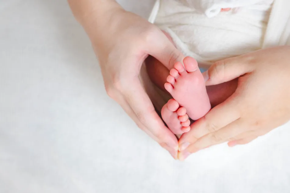 fete￤baby photo studioの画像