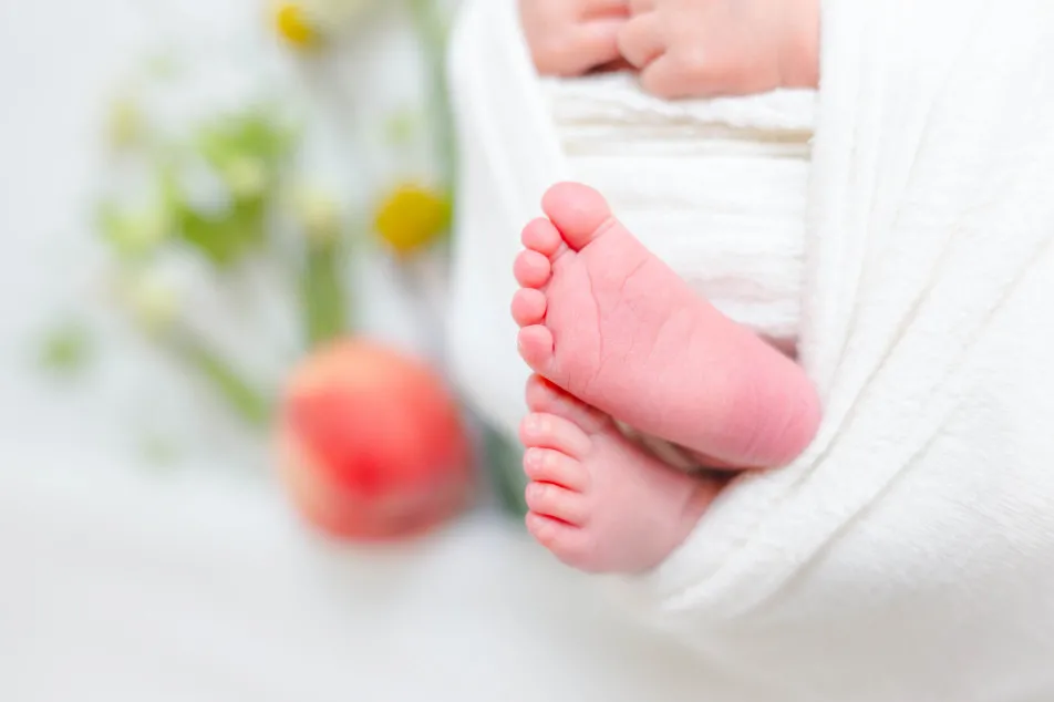 fete￤baby photo studioの画像