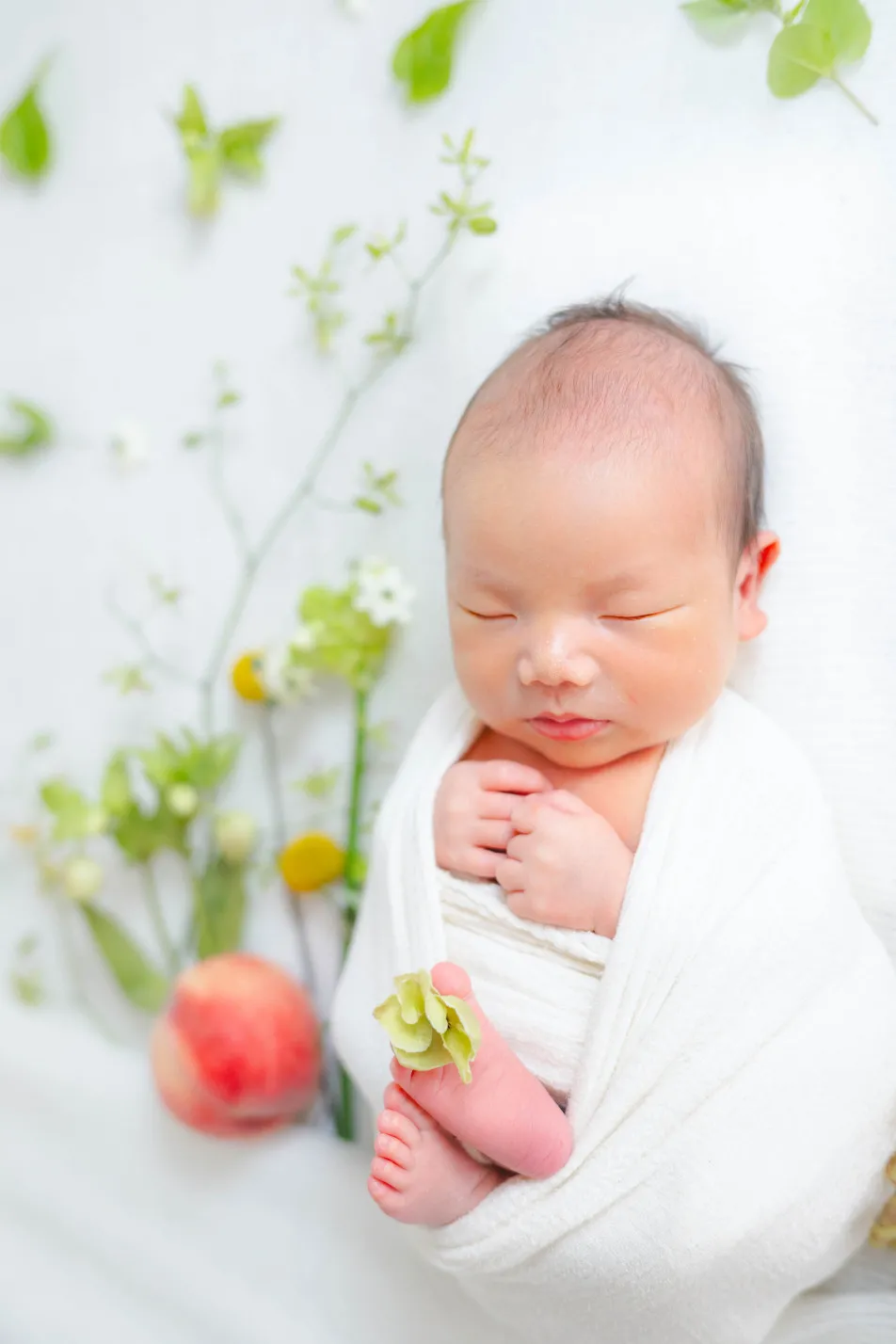 fete￤baby photo studioの画像