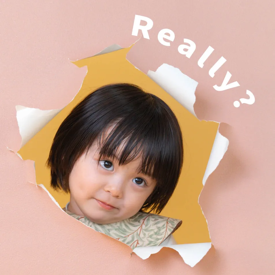 fete￤baby photo studioの画像