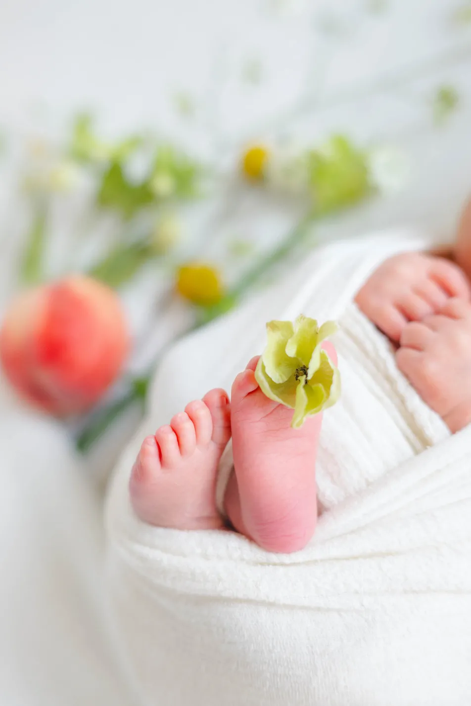 fete￤baby photo studioの画像