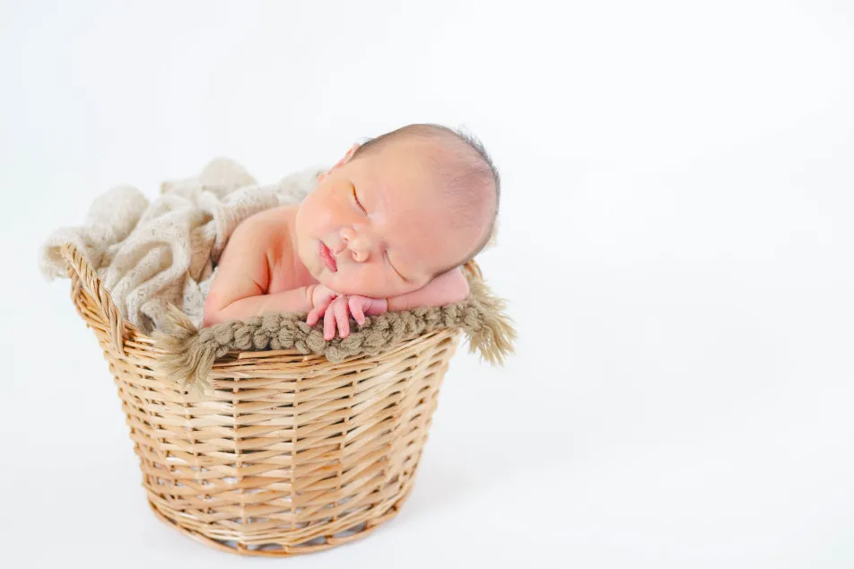 fete￤baby photo studioの画像