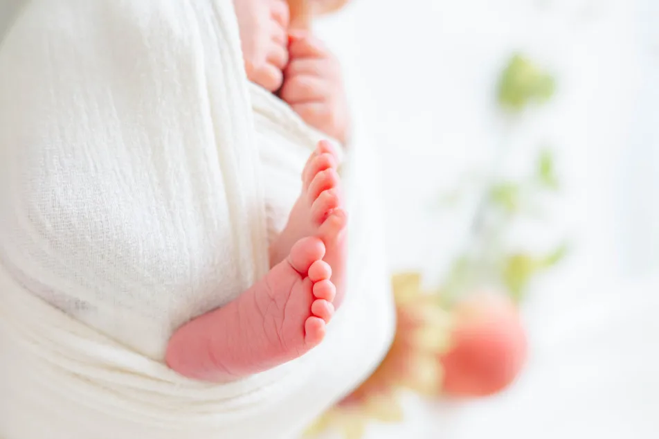 fete￤baby photo studioの画像