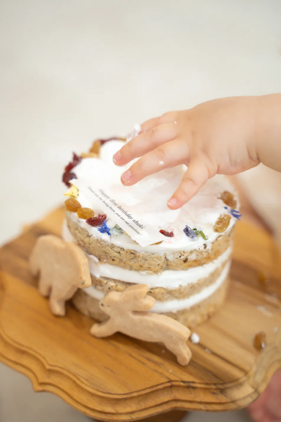 fete￤baby photo studioの画像