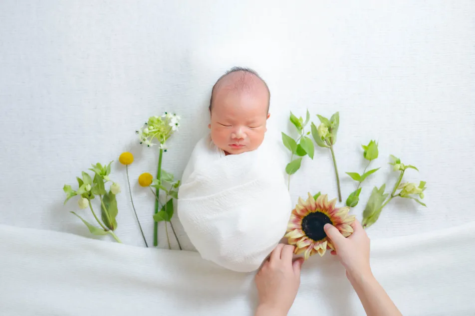 fete￤baby photo studioの画像