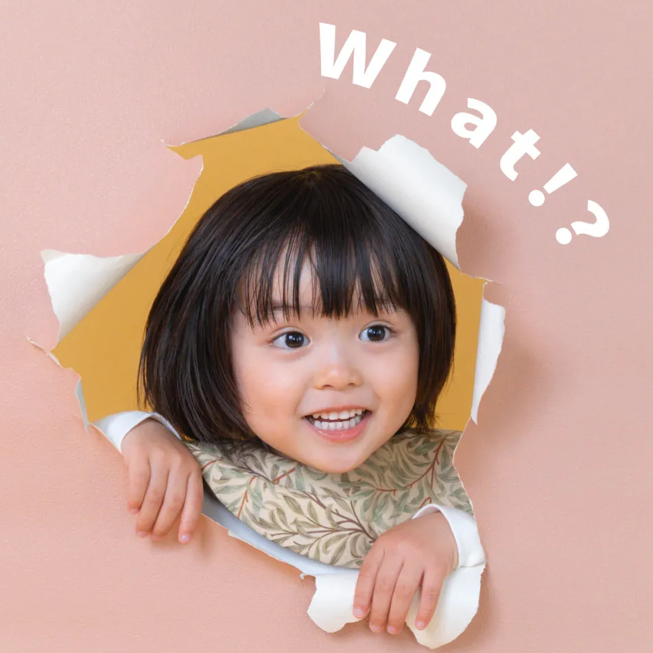fete￤baby photo studioの画像