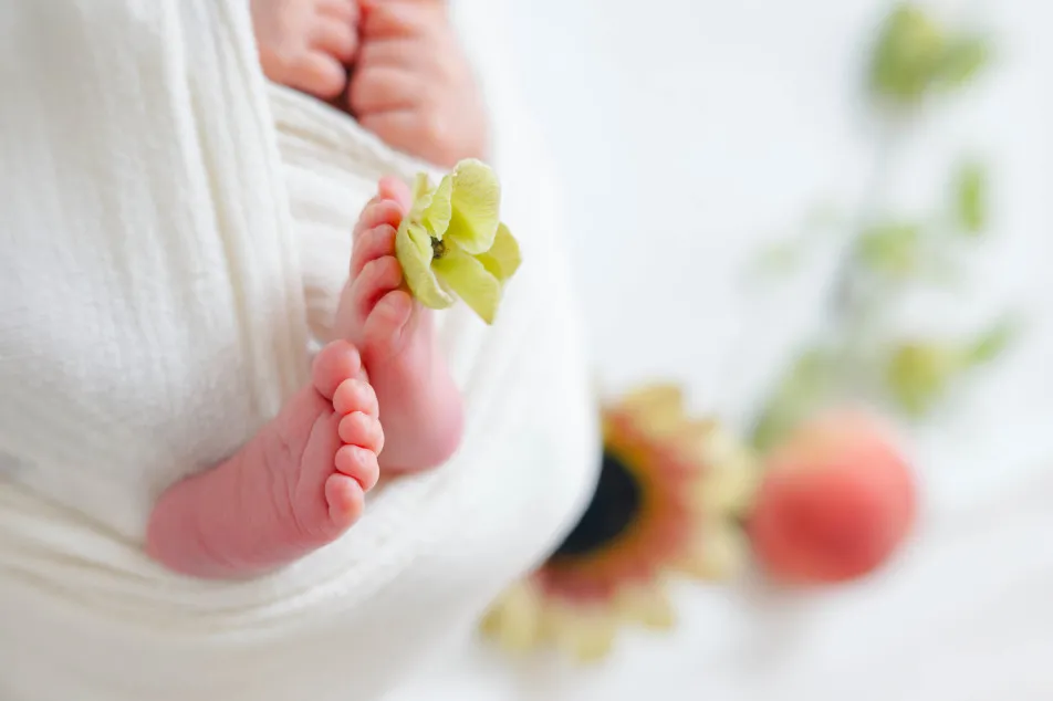 fete￤baby photo studioの画像