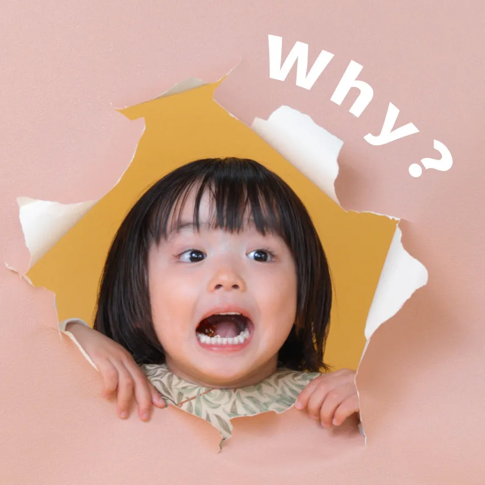 fete￤baby photo studioの画像