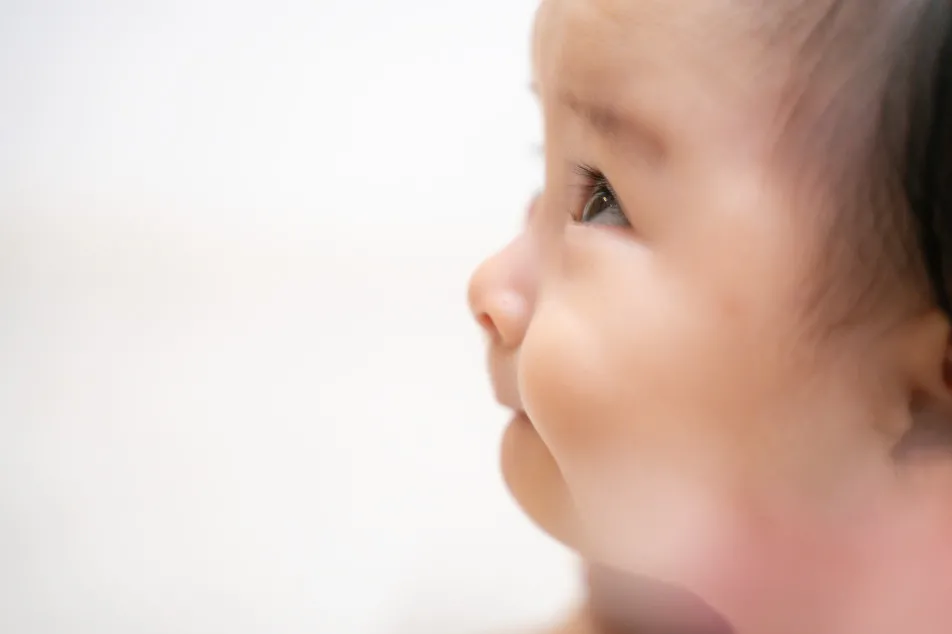 fete￤baby photo studioの画像