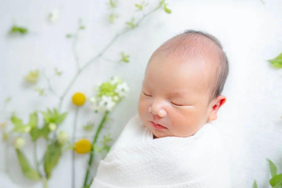 fete￤baby photo studioの画像