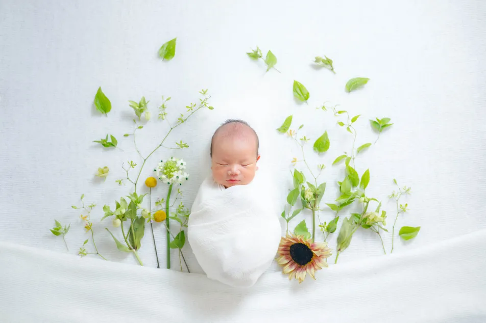 fete￤baby photo studioの画像