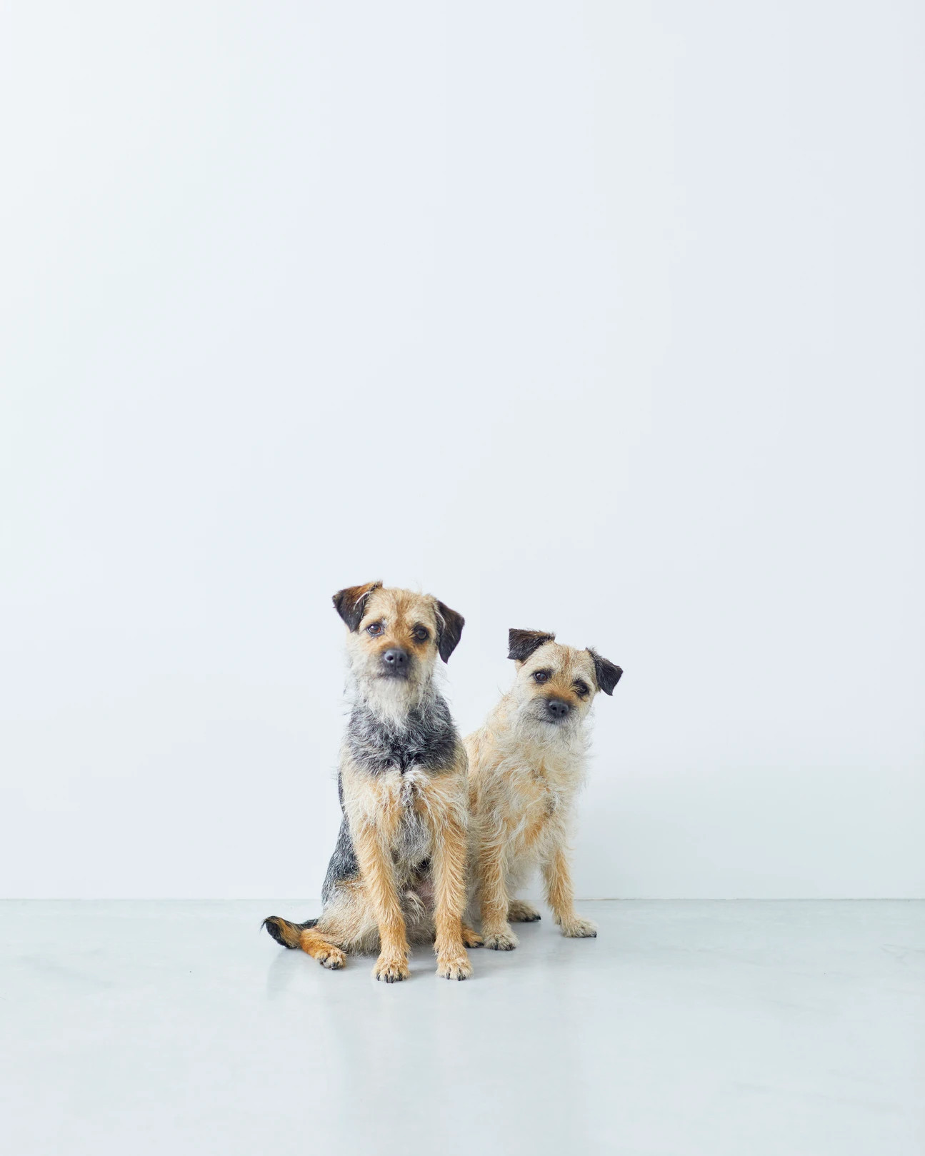 anne baker studioのメイン画像