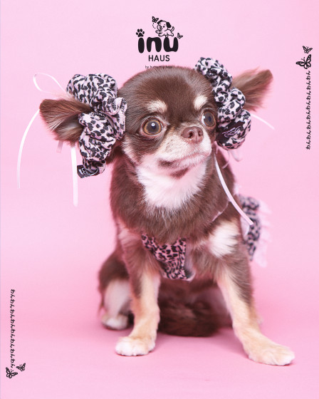 韓国式フォトスタジオ Butterflyhaus namba バタフライハウスなんば1の画像