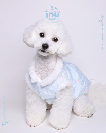 韓国式フォトスタジオ Butterflyhaus namba バタフライハウスなんば3の画像