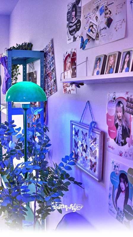 韓国式フォトスタジオ Butterflyhaus namba バタフライハウスなんばの画像