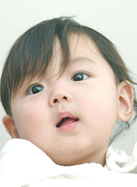 野澤写真室の画像