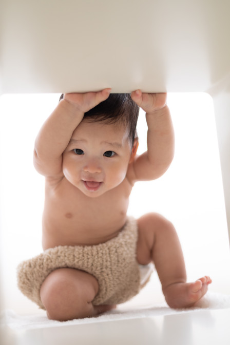 コグレスタジオの画像