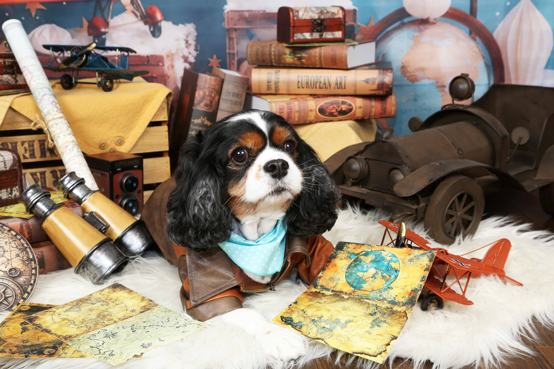 不思議の国のわんわん写真館のメイン画像