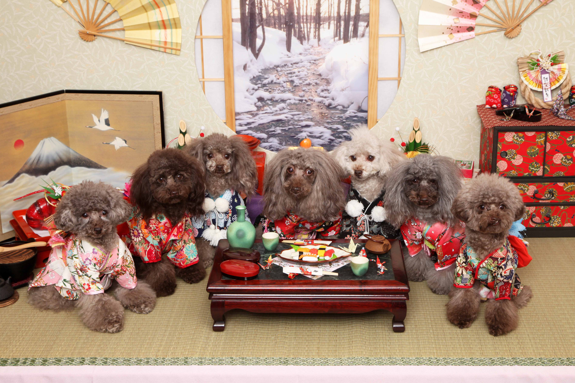 不思議の国のわんわん写真館のメイン画像