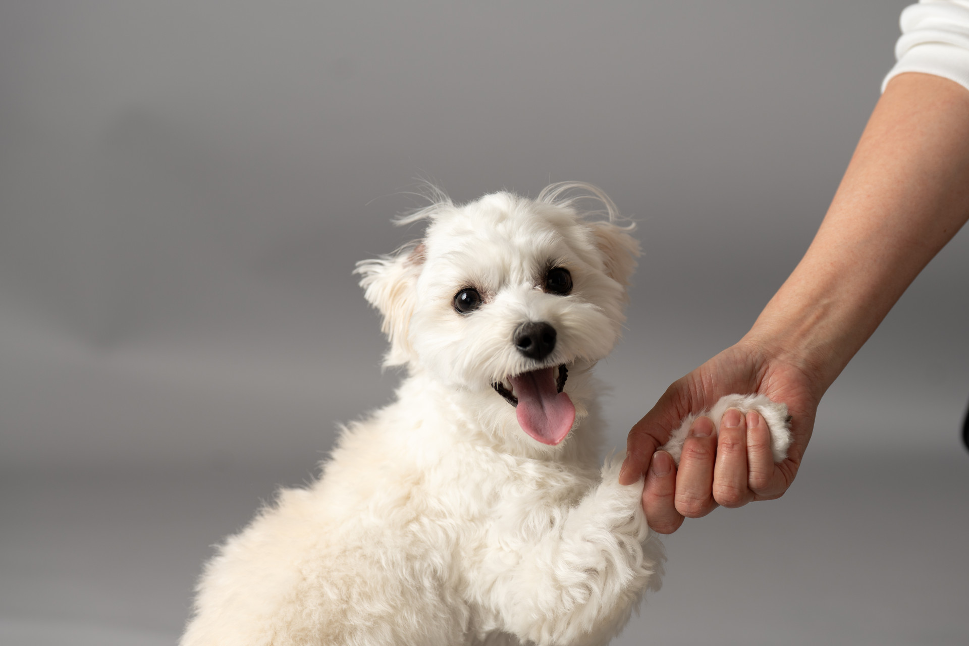 studio by Avvoltoのメイン画像