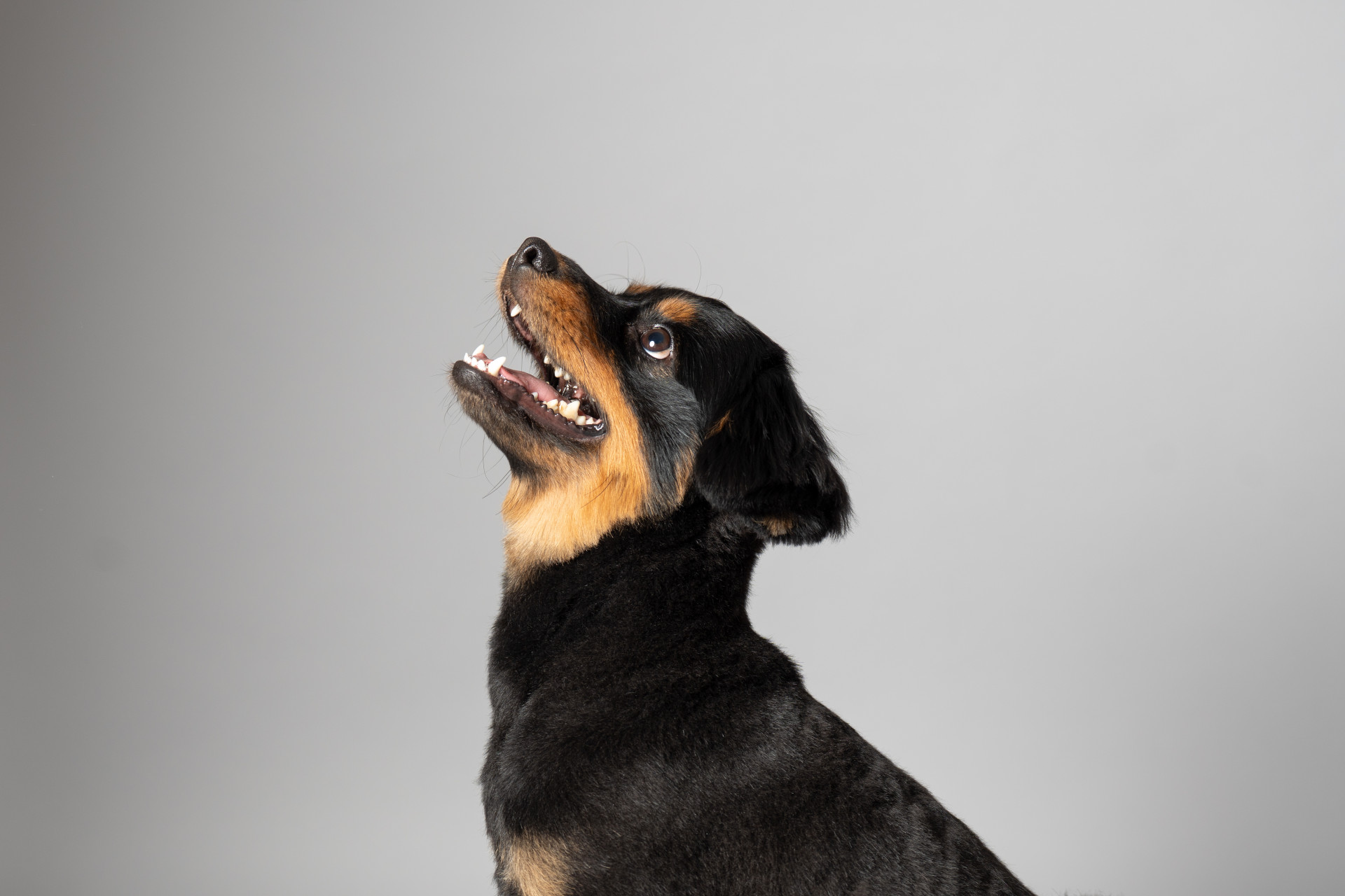 studio by Avvoltoのメイン画像