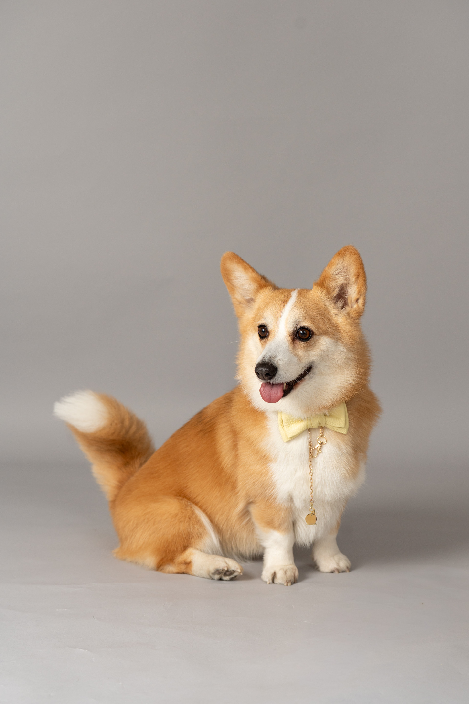 studio by Avvoltoのメイン画像