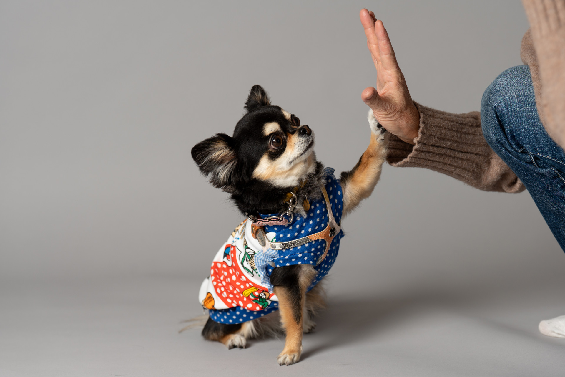 studio by Avvoltoのメイン画像