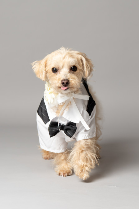 studio by Avvoltoの画像