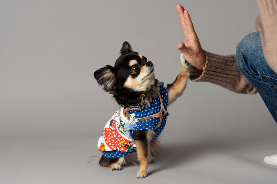 studio by Avvoltoの画像