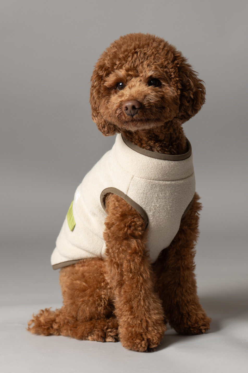 studio by Avvoltoの画像