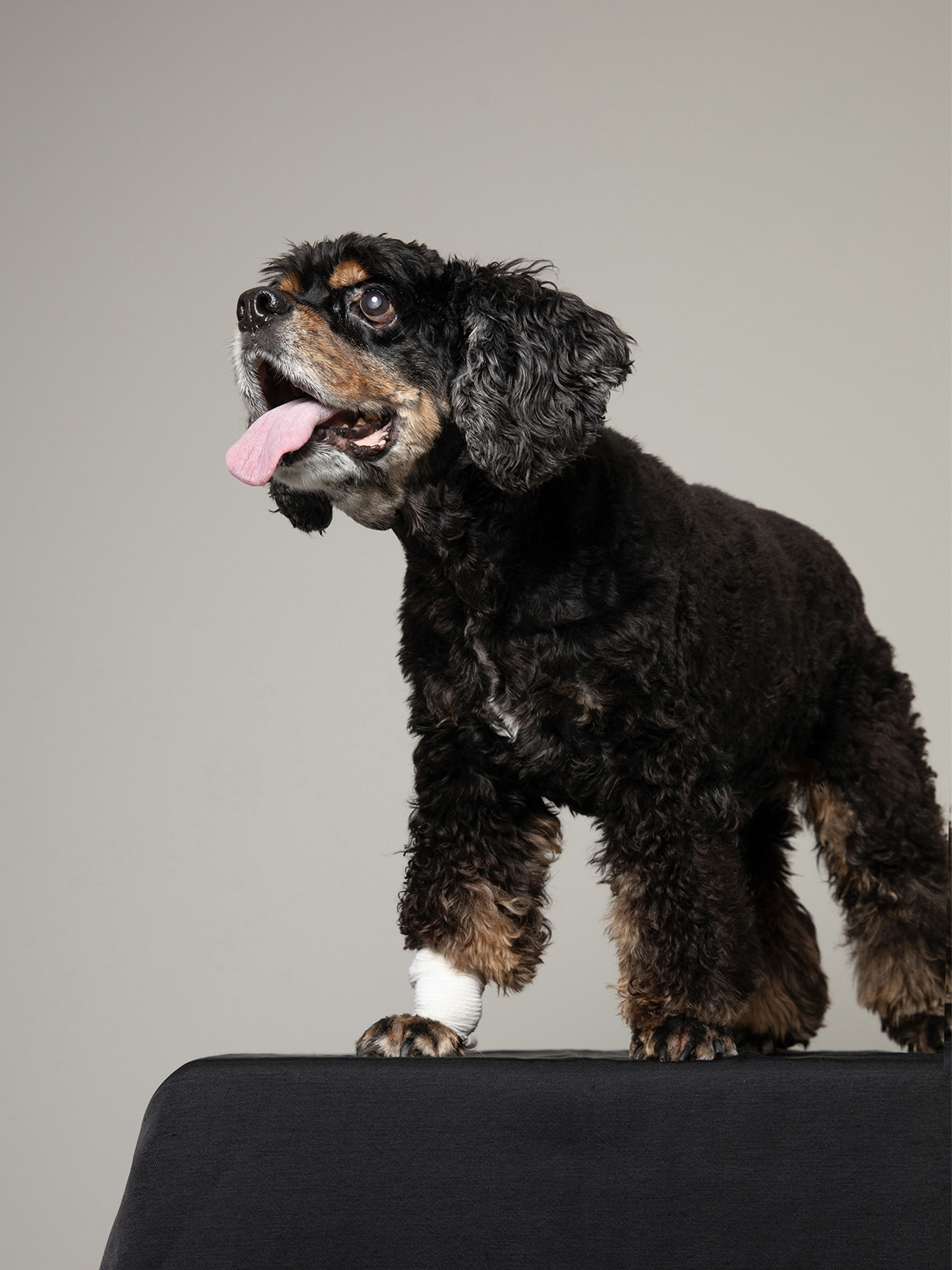 PHOTO SALON Kのメイン画像