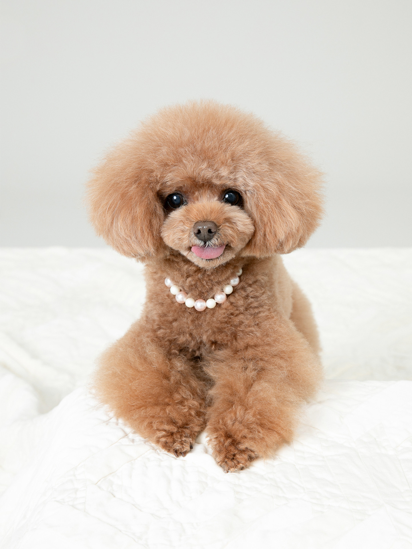 PHOTO SALON Kのメイン画像