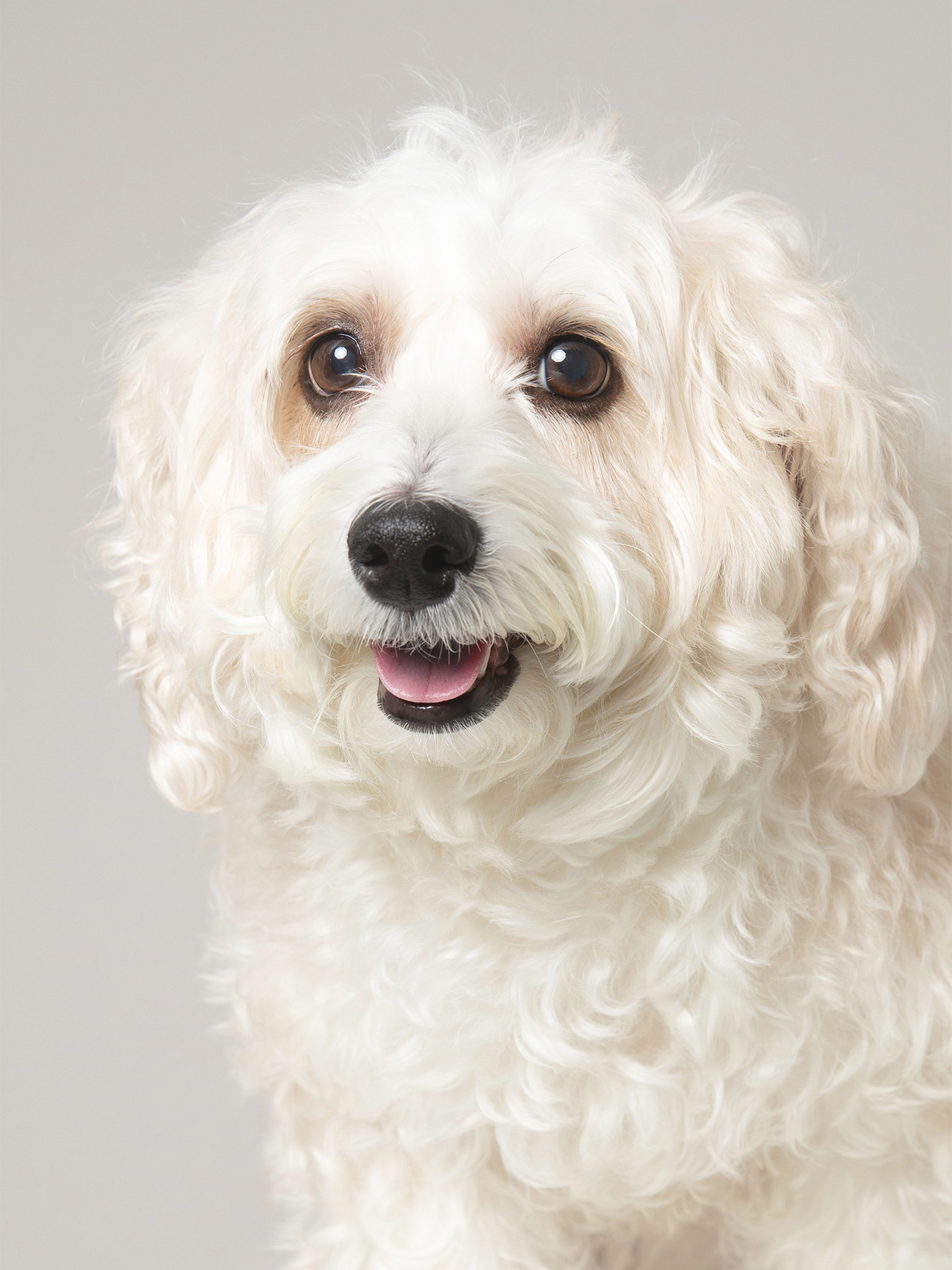 PHOTO SALON Kのメイン画像