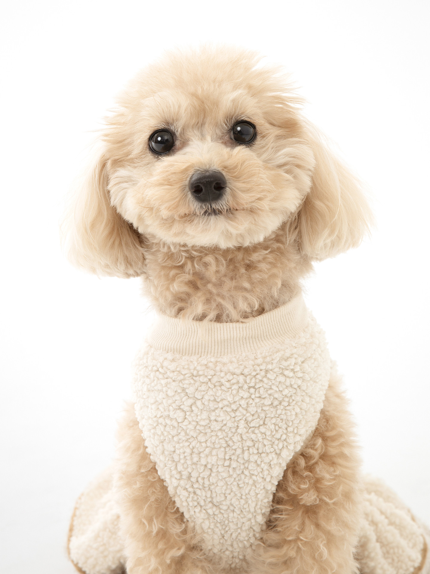 PHOTO SALON Kのメイン画像