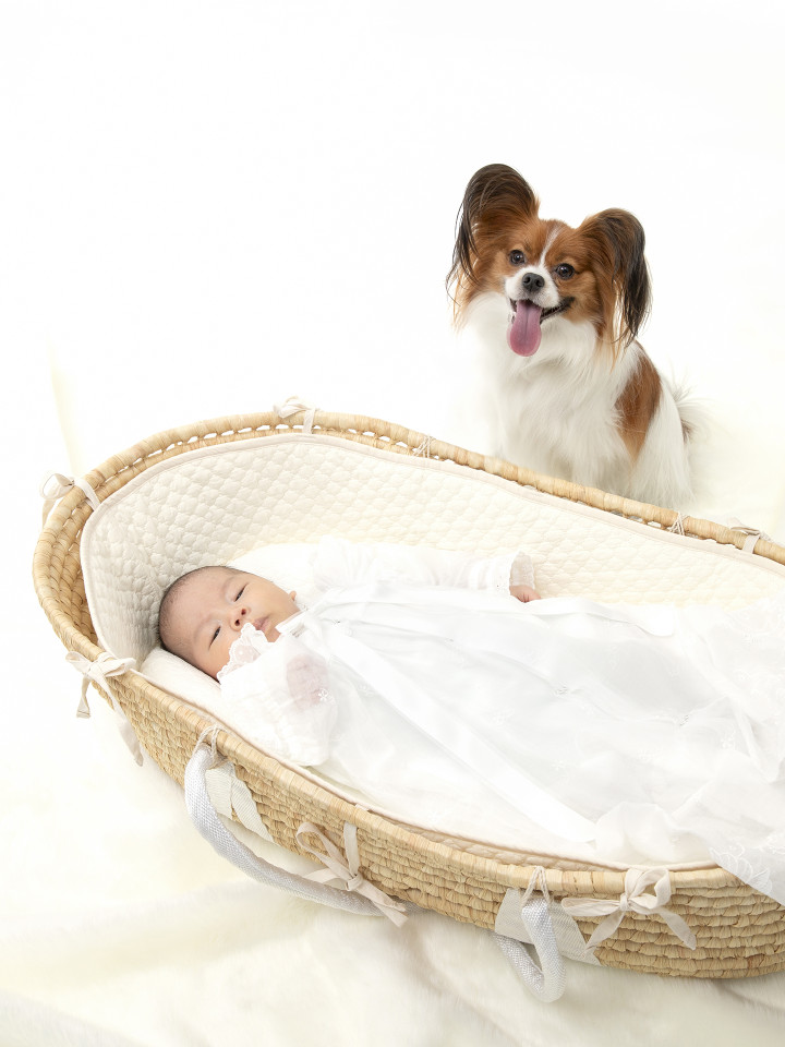 PHOTO SALON Kの画像11